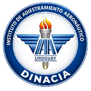 Instituto de Adiestramiento Aeron&aacute;utico